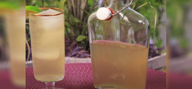 Homemade Ginger Ale on the Glass and Bottle