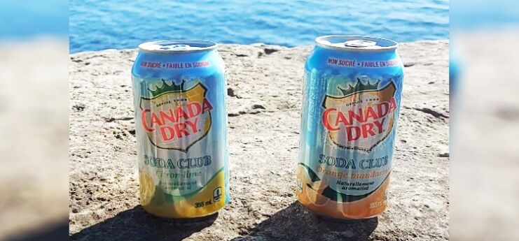 Flavored Canada Dry in Can