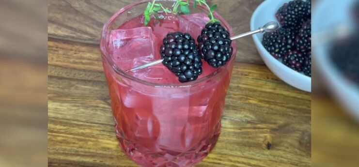 Glass of Blackberry Sidecar