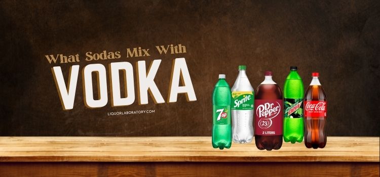 What Sodas Mix With Vodka? Our Excessive 10 Picks For 2024